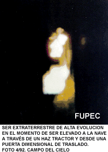 Ser de alta evolución